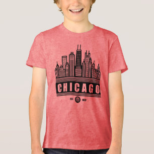 Estados Unidos de Chicago Illinois