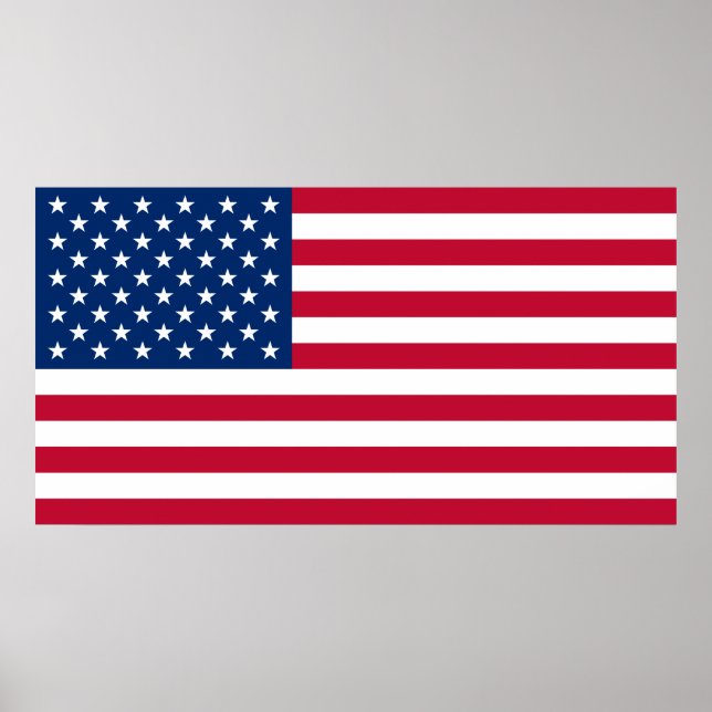 Estados Unidos Flag EUA US Flagge Poster (Frente)