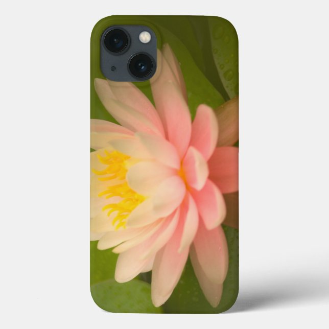 Estados Unidos, Maryland, Westminster, União (Verso)