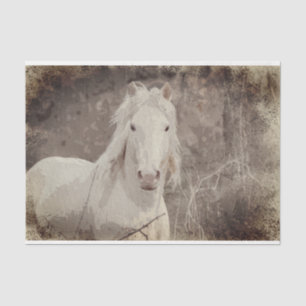 Estalão de Broadfoot 18 ob. Papel de dissociação d