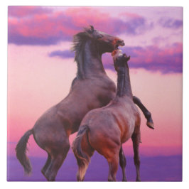 Estalhões jogando Azulejo