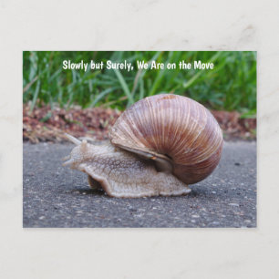 Estamos ligando o cartão postal