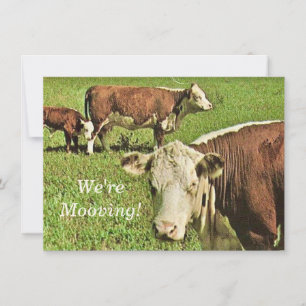 Estamos nos movendo! Anúncio