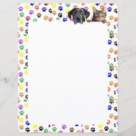 Estampas coloridas com cães e gatos 8,5 x 11