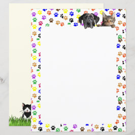 Estampas coloridas com cães e gatos 8,5 x 11