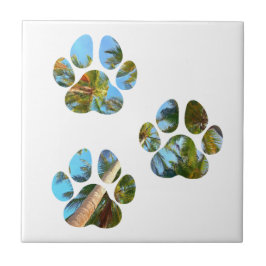 Estampas de cães - Palmeiras tropicais