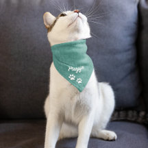 Estampas de Pata de Jeans Azul Falso em Verde Água