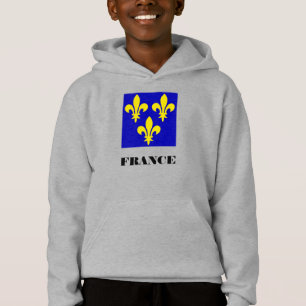 Estandarte Real Francês Medieval Fidelidade Heráld
