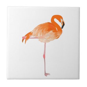 ESTAR TÃO ORGULHOSO