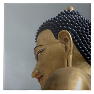 estátua de Buddha Dordenma