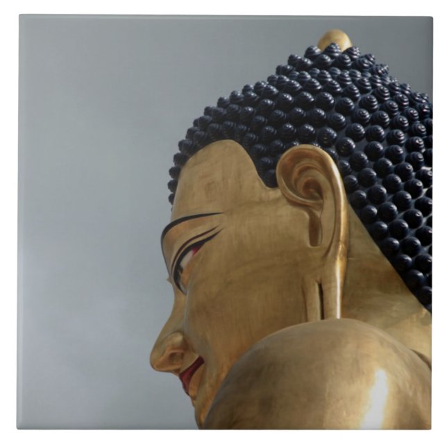 estátua de Buddha Dordenma (Frente)