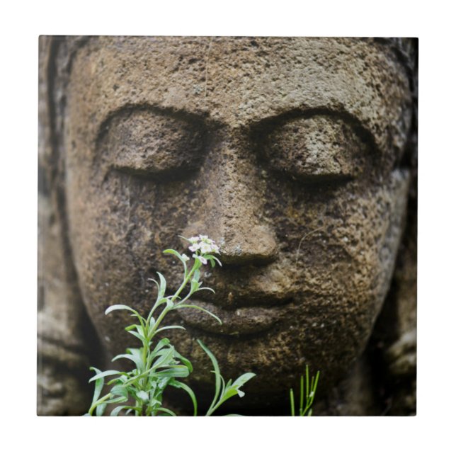 Estátua de jardim de pedra com flor (Frente)