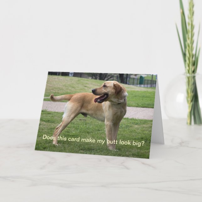 Este cartão faz meu bumbum parecer grande? (Frente)