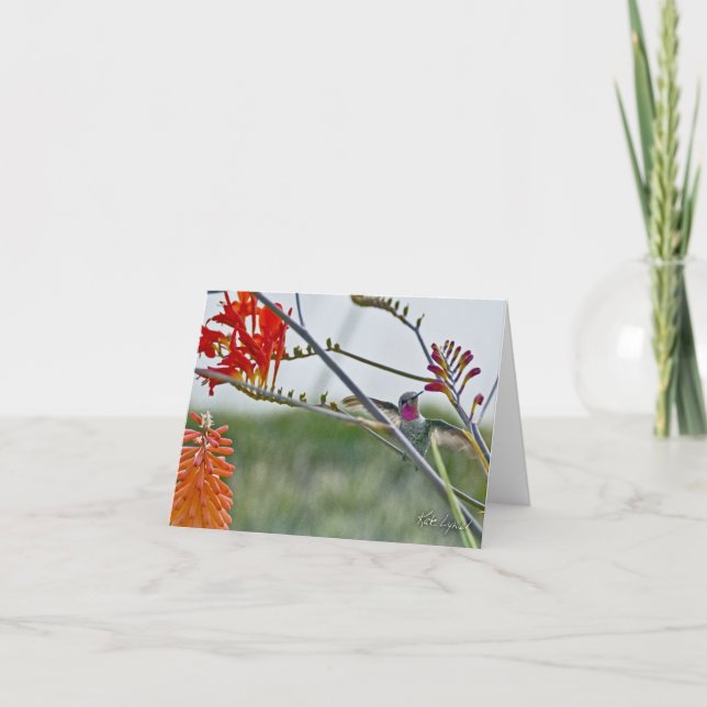 Este Cartão Único (Frente)