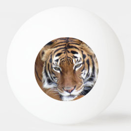 Este Tigre Significa Bola de Pinos de Negócios
