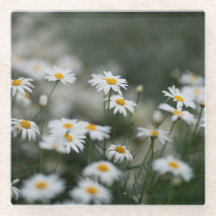 Estética Daisy & Cottagecore