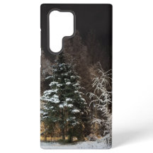Estética de Floresta de Inverno Congelada