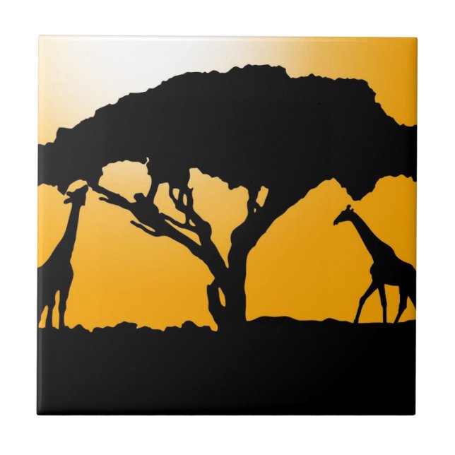 Estilo africano (Frente)