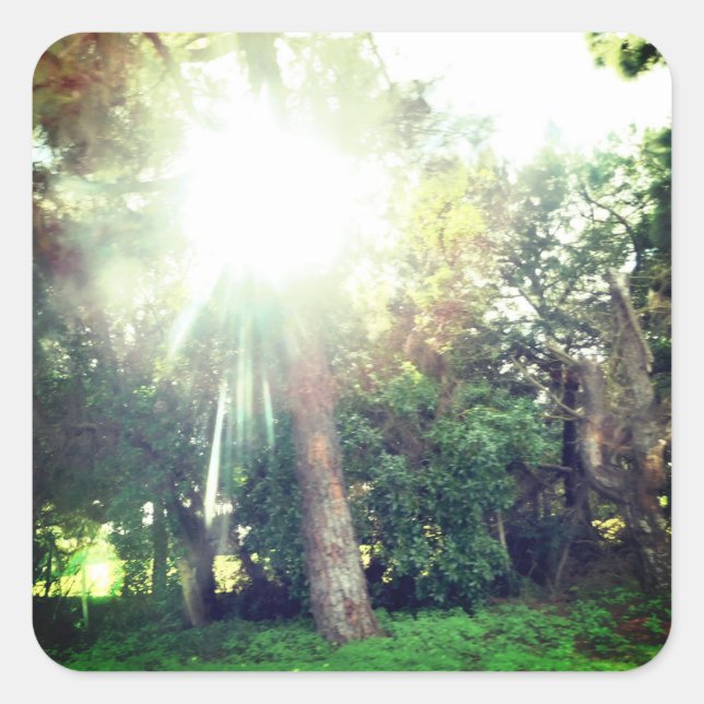 ESTILO ART&DESIGN DE ETIQUETA DE RÓTULO (Frente)