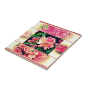 Estilo Azaleas 1950