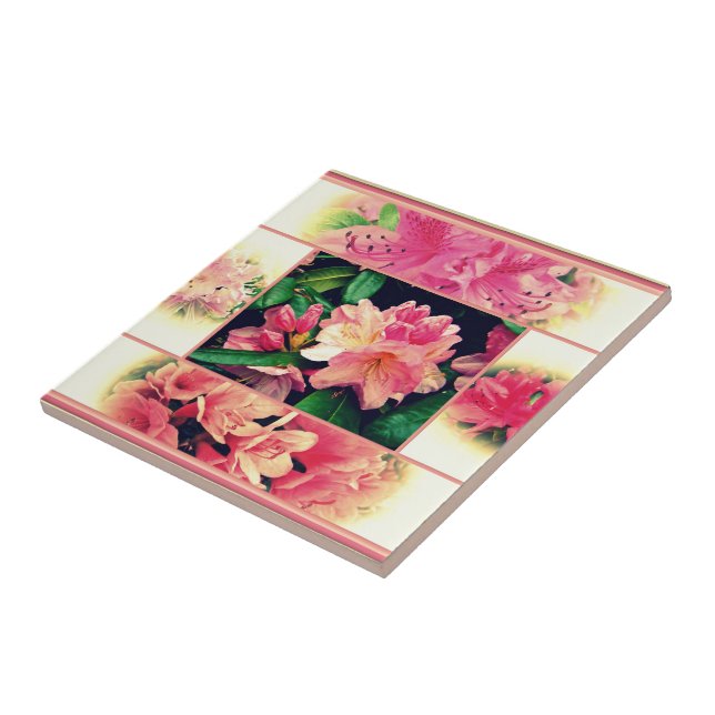 Estilo Azaleas 1950 (Lateral)
