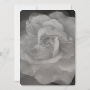 ESTILO BONITO DE ROSA DE CONVITE DE CASAMENTO