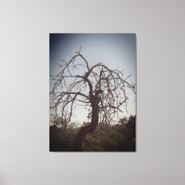 ESTILO CANVAS ART E DESIGN