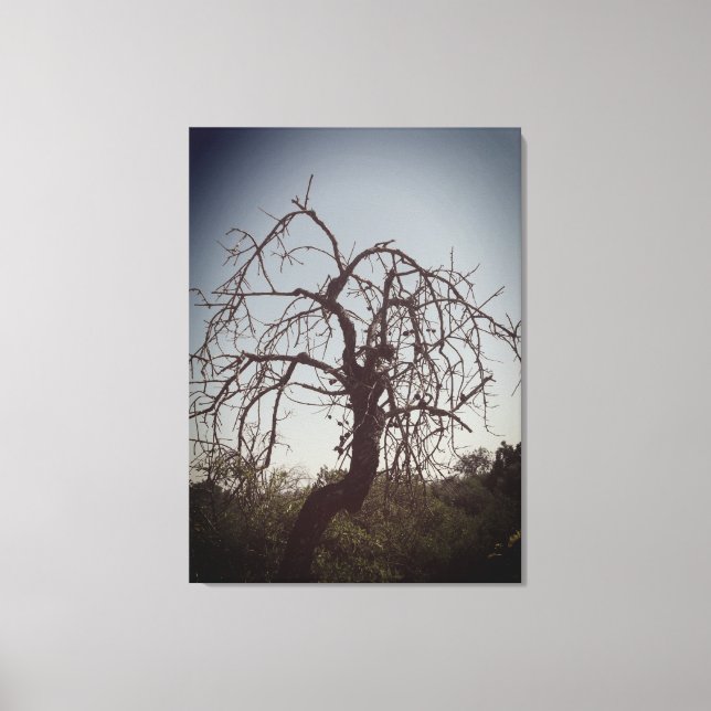 ESTILO CANVAS ART E DESIGN (Frente)