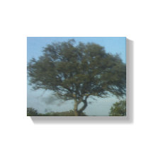 ESTILO CANVAS ART E DESIGN