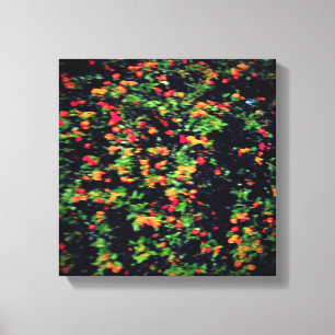 ESTILO CANVAS ART E DESIGN