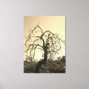 ESTILO CANVAS ART E DESIGN