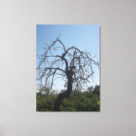 ESTILO CANVAS ART E DESIGN