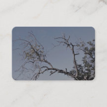 ESTILO cartão de visita ART&DESIGN