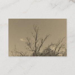 ESTILO cartão de visita ART&DESIGN