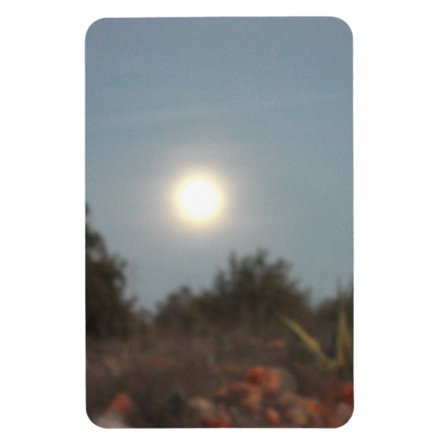 Estilo de design do ímã de fotos flexível (Vertical)