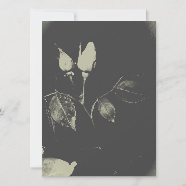 ESTILO DE ROSA DE CONVITE PARA CASAMENTO (Frente)