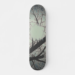 ESTILO E DESIGN DE SKATE