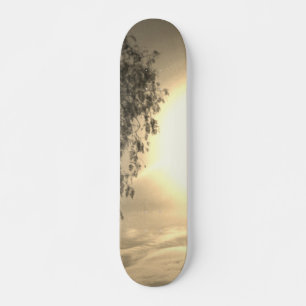 estilo e design de skate