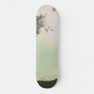 ESTILO E DESIGN DE SKATE