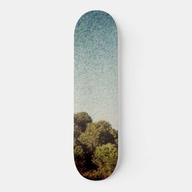 ESTILO E DESIGN DE SKATEBOARD (Frente)