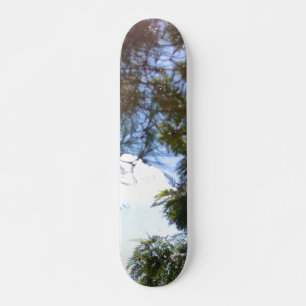 ESTILO E DESIGN DE SKATEBOARD
