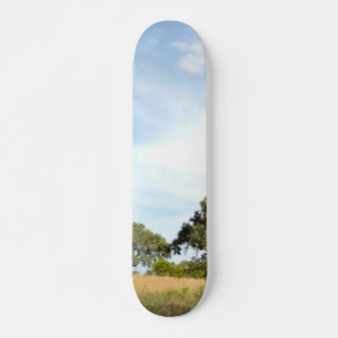 ESTILO E DESIGN DE SKATEBOARD