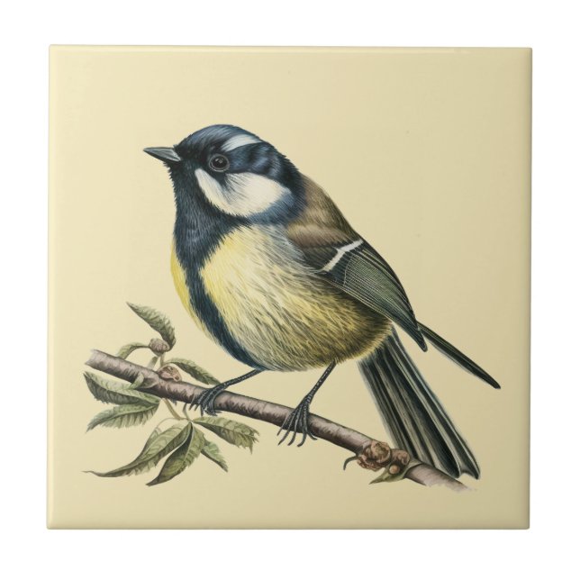 Estilo Natureza Tit de Carvão Azulejo cerâmico (Frente)