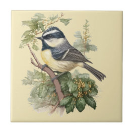 Estilo Natureza Tit de Carvão Azulejo cerâmico