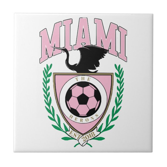 Estilo Universitário de Futebol de Miami  (Frente)