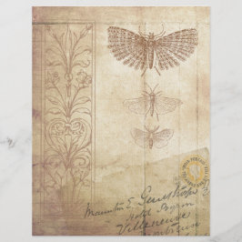 Estilo Vintage Ephemera