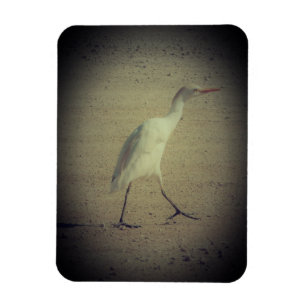 ESTILOS DE DECORAÇÃO DE ARTE EM ÍMÃS