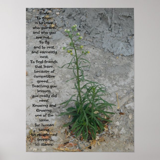 ESTILOS poster ART E DESIGN (Frente)