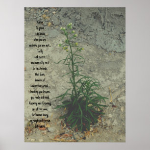 ESTILOS poster ART E DESIGN