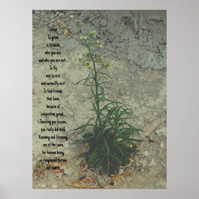 ESTILOS poster ART E DESIGN (Frente)